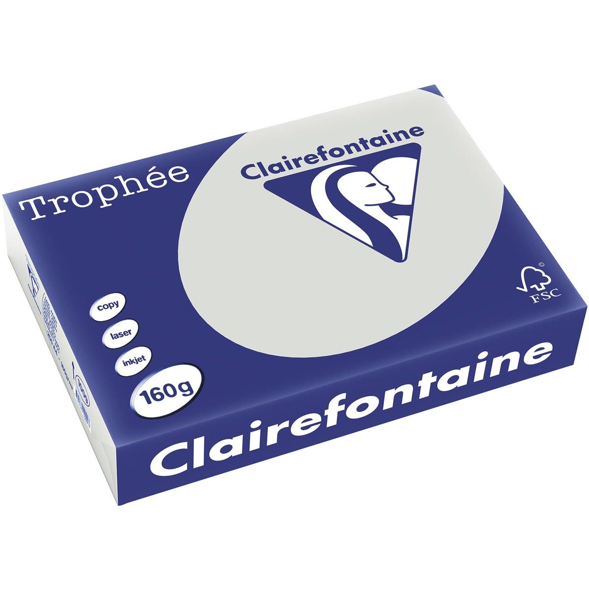 Clairefontaine - Trophée tel, papier coloré, A4, 160 g, 250 feuilles, gris clair