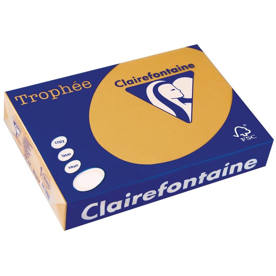 Clairefontaine - Trophée tel, papier coloré, A4, 160 g, 250 feuilles, marron moka