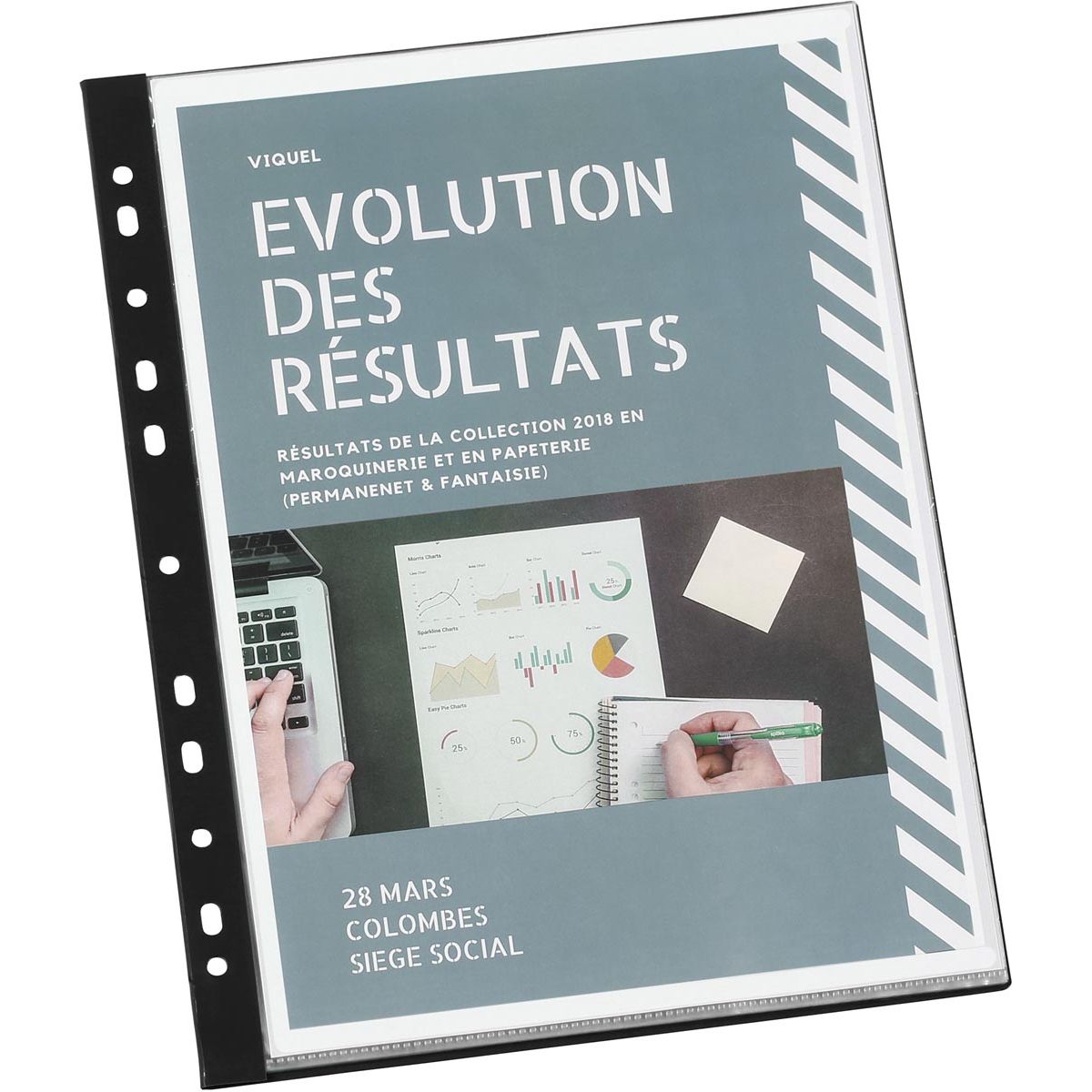 Viquel - lbum met 11-gaatsperforatie, ft A4, 20 tassen