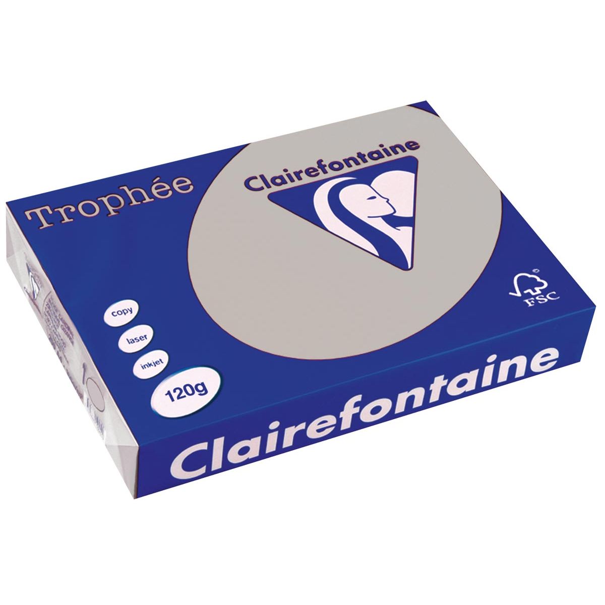 Clairefontaine - Trophée tel, papier coloré, A4, 120 g, 250 feuilles, gris clair