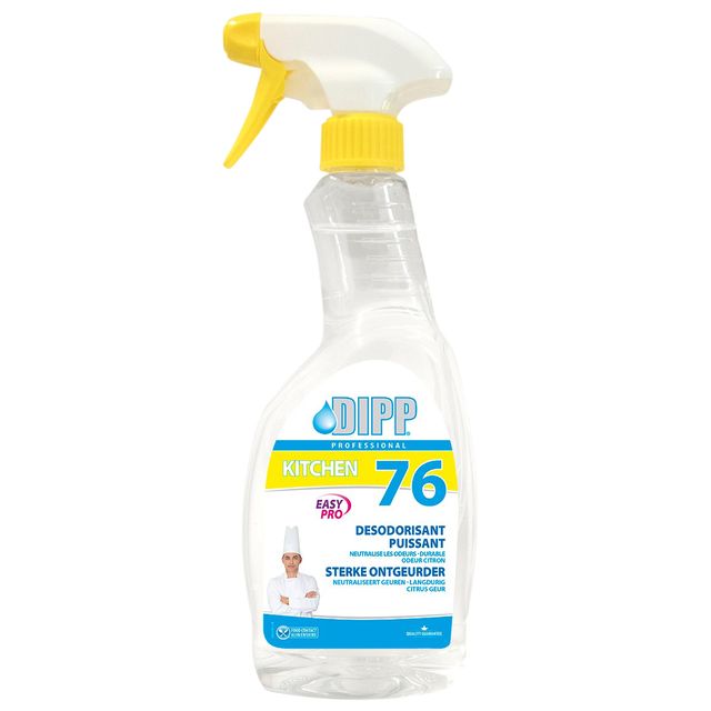 DIPP - Désodorisant Easy Pro spray 500ml