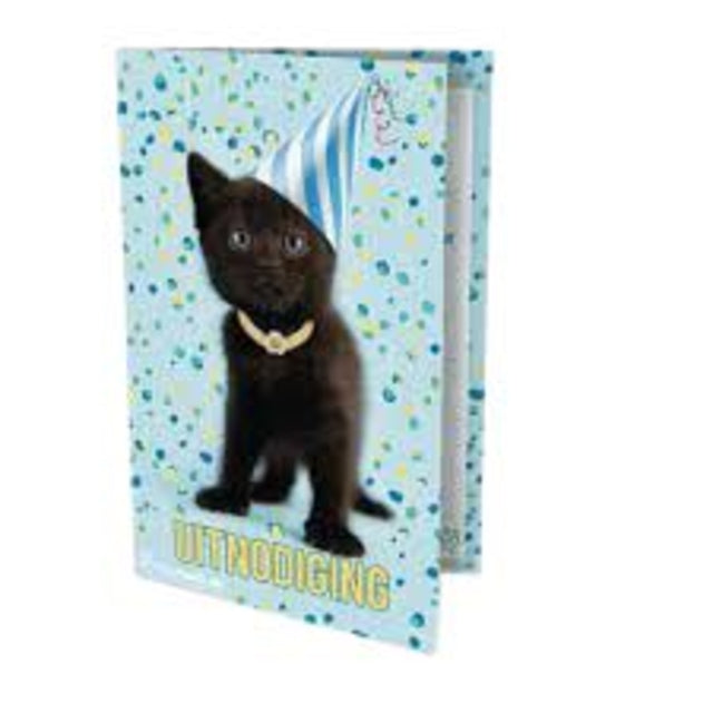 Interstat - Einladung Katze Rachael Hale 14x9cm | 6 Stück