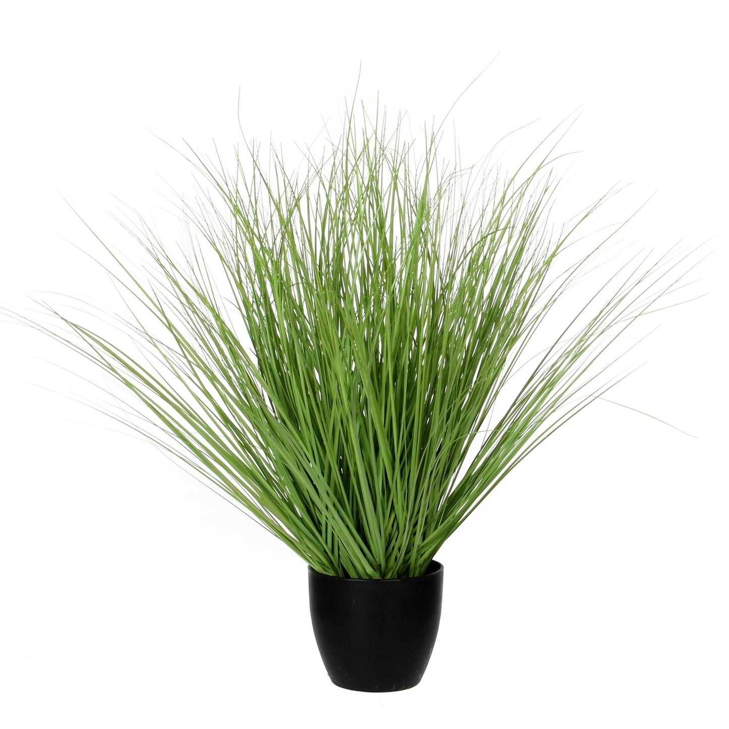 Mica Decorations - Kunstgras mica in plastic pot 14.5cm | 4 stuks