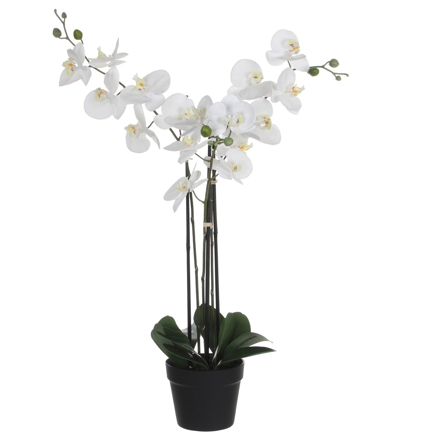 Mica Decorations - Kunstplant Mica Phalaenopsis orchideeën wit in plastic pot 79x51cm