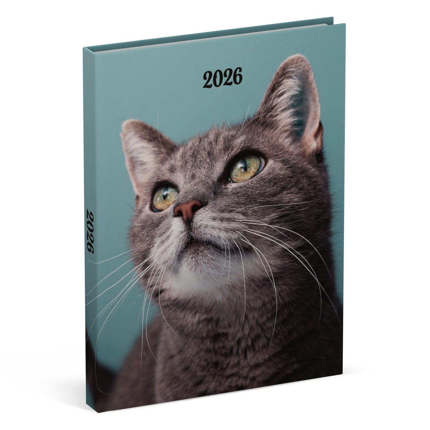 Lannoo - Agenda 2026 110x150 My favourite friends 7dagen/2pagina's cats