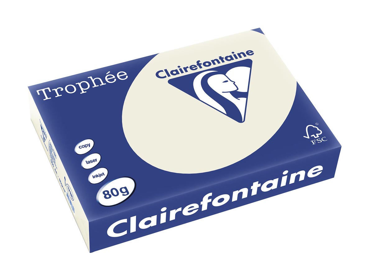 Clairefontaine - Papier coloré Trophée, A4, 80 g, 500 feuilles, gris perle