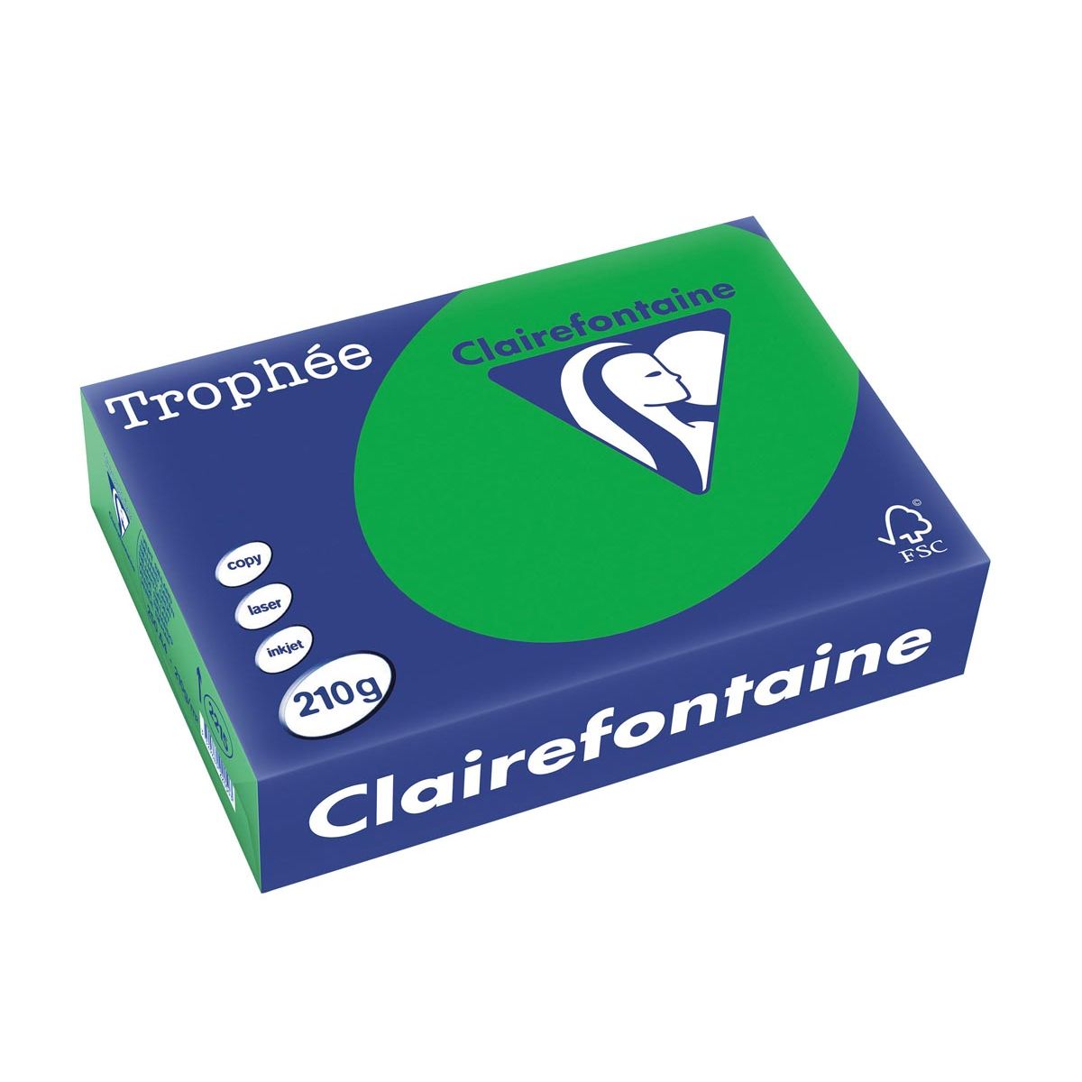 Clairefontaine - Trophée Intens, papier coloré, A4, 210 g, 250 feuilles, vert bijart