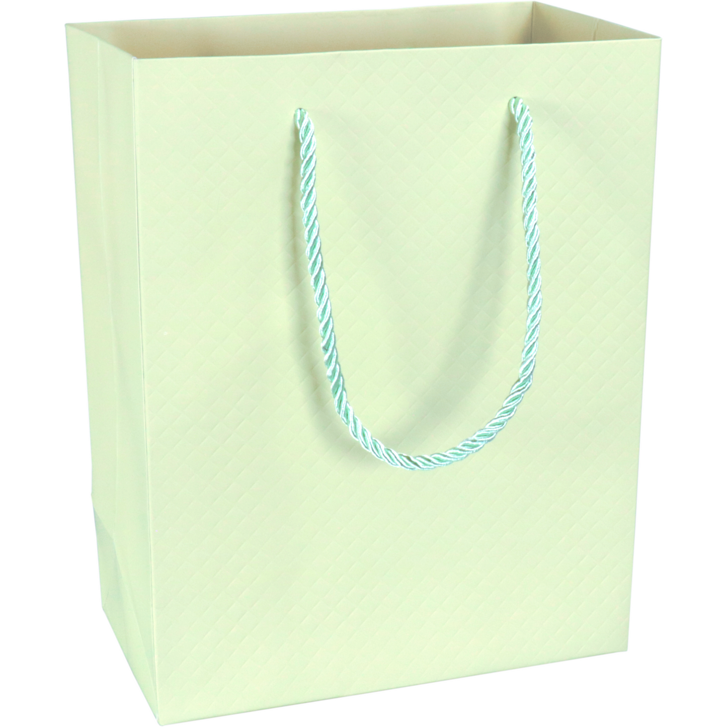 Klika - Tas | Papier | embossed | 18x 10x23cm | draagtas | pastelgroen | 40 stuks