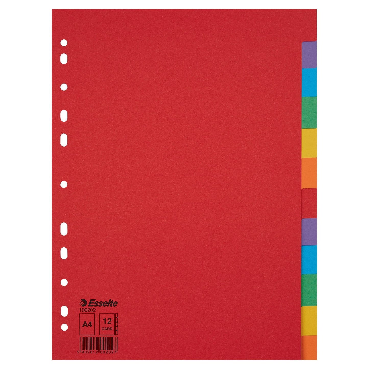 Esselte - Onglets Economy A4 12 pièces carton 11 anneaux assortis