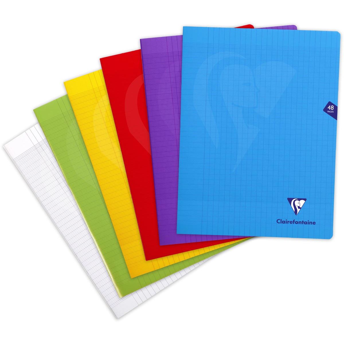 Clairefontaine - schrift Mimesys voor ft A4+, 48 bladzijden, kaft in PP, seyès, geassorteerde kleuren