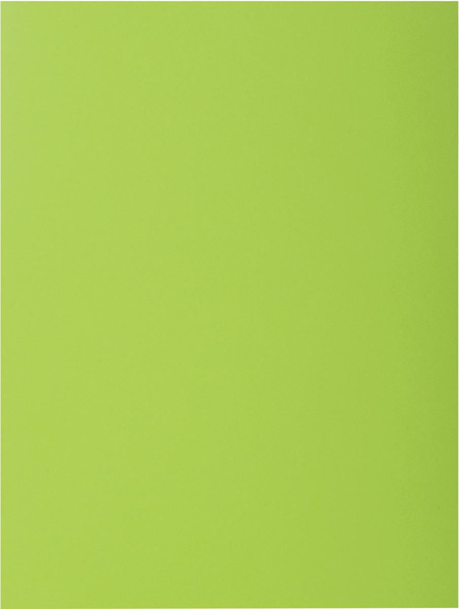 Exacompta - Rock's 80 dossiermap, ft 22 x 31 cm, pak van 100, muntgroen