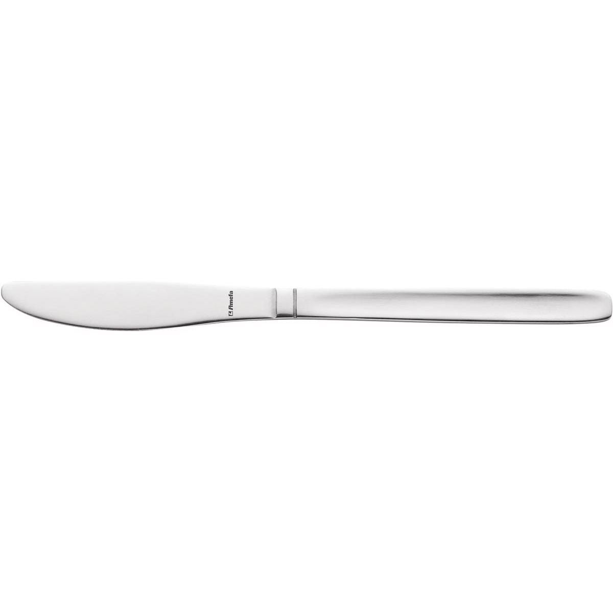 Amefa - Couteau Scandinave en acier inoxydable