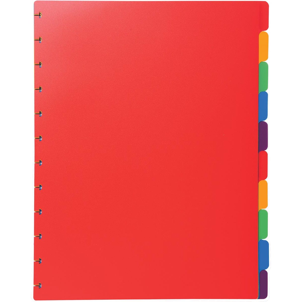 Exacompta - uitneembare tabbladen voor lbum met ringen, in gekleurd PP, 10 tabs