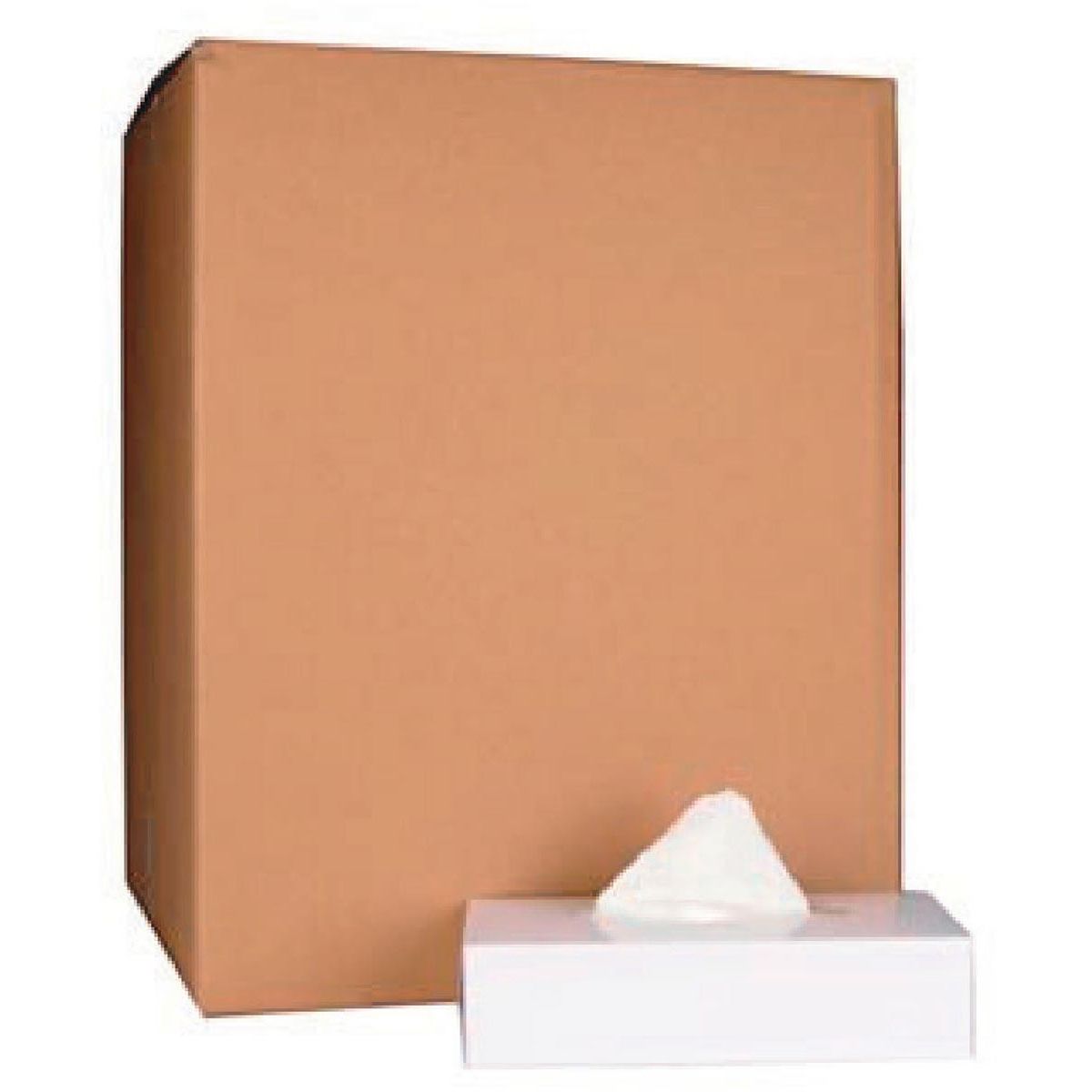 Klika - Papieren zakdoek, 2-laags, 100 tissues per doos, pak van 40 doosjes