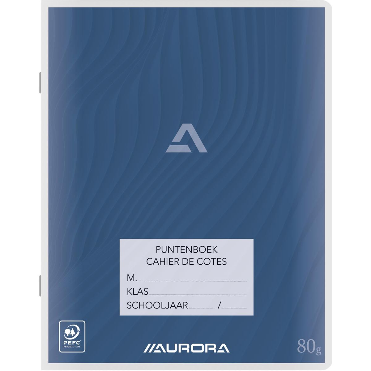 Aurora - livre de points ft 16,5 x 21 cm (taille script)