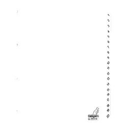 Kangaro - Onglets 4 trous PK420C 1-20 carton blanc numérotés