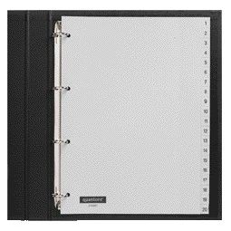 Quantore - Tabs 4-Loch 1-20 nummeriert graues PP