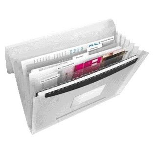 Esselte - Projectmap Vivida A4 6 vakken PP wit