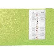 Exacompta - Aktenordner Forever A4 2 Klappen 290gr grün