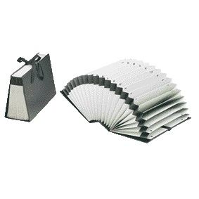 Jalema - Sortiermappe Djois Diplo-Line Folio A/Z 21 Fächer schwarz