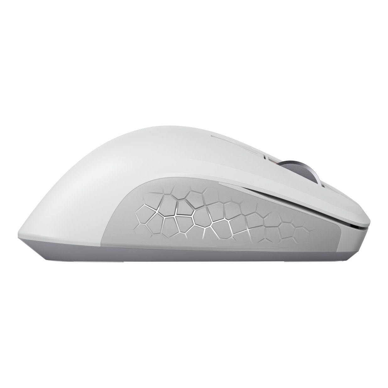 CHERRY - JW-8550-0 muis Universeel Rechtshandig RF Draadloos Optisch 4000 DPI
