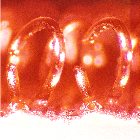 Klika - Velcro non collant. Crochet blanc 20mm 25