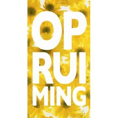 Klika - Billet de vitrine thème DESTOCKAGE 50x94cm solaire