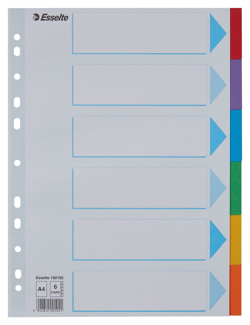 Esselte - Onglets Standard A4 6 pièces en carton 11 anneaux avec page de garde assortie | 20 pièces