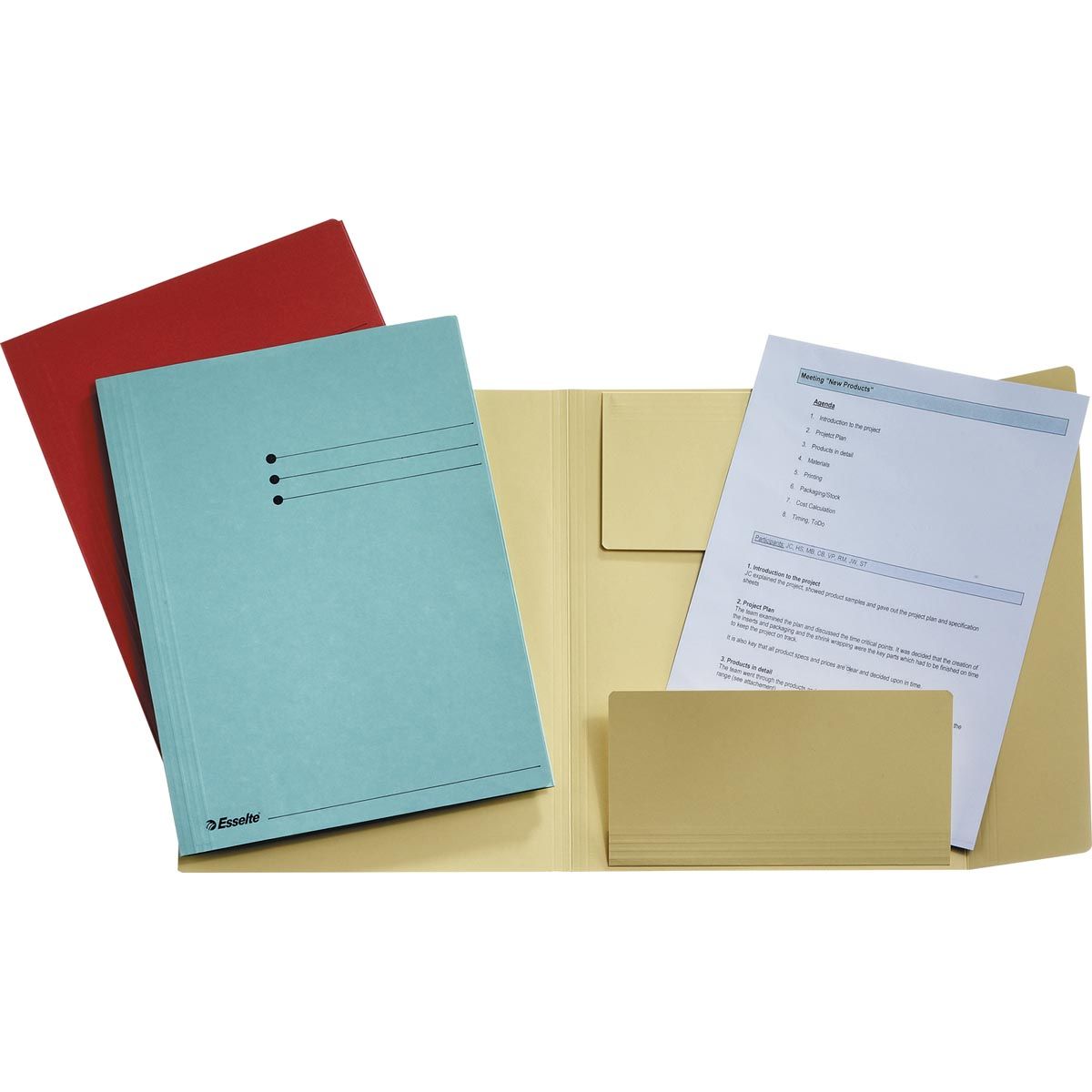 Esselte -  dossiermap geassorteerde kleuren, ft A4