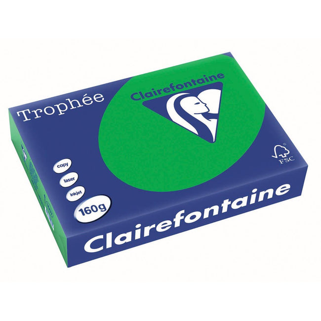 Clairefontaine - Trophée Intens, papier coloré, A4, 160 g, 250 feuilles, vert bijart