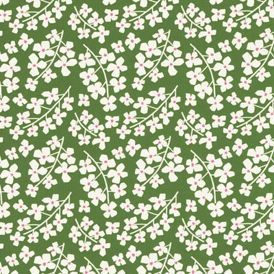 Klika - Geschenkpapier 50cm Des. 1024 Grün + Gänseblümchen
