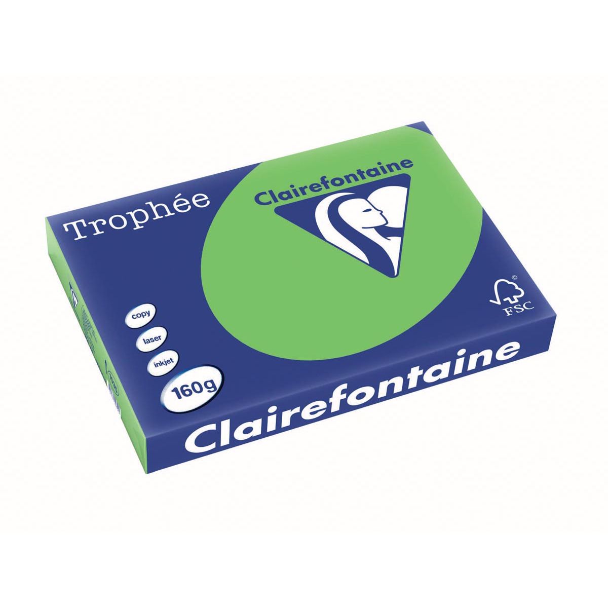 Clairefontaine - Trophée Intens, papier coloré, A3, 160 g, 250 feuilles, vert gazon