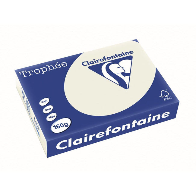 Clairefontaine - Trophée tel, papier coloré, A4, 160 g, 250 feuilles, gris perle