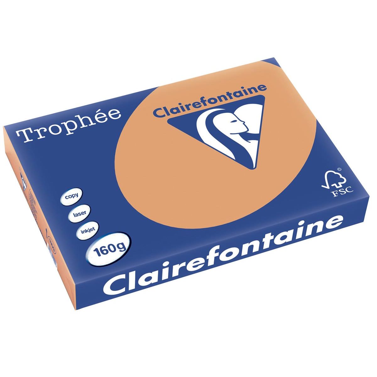 Clairefontaine - Trophée tel, papier coloré, A3, 160 g, 250 feuilles, marron moka