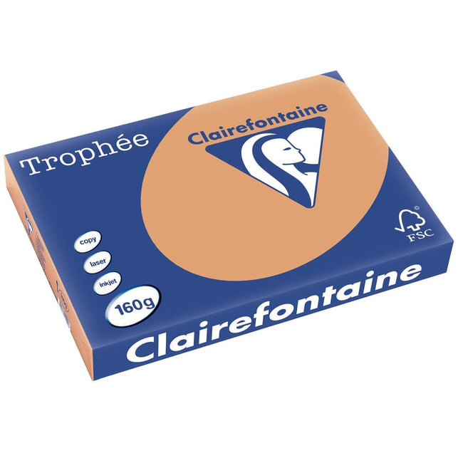 Clairefontaine - Trophée tel, papier coloré, A3, 160 g, 250 feuilles, marron moka