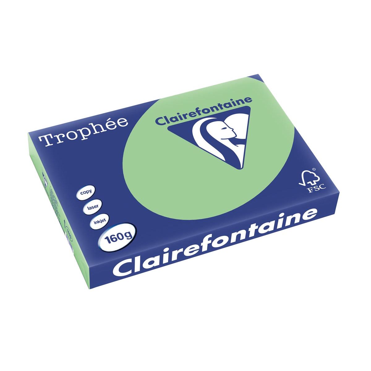 Clairefontaine - Trophée tel, farbiges Papier, A3, 160 g, 250 Blatt, naturgrün