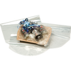 Klika - Sac rétractable | RPC | 35x 61cm | limpide | 100 pièces