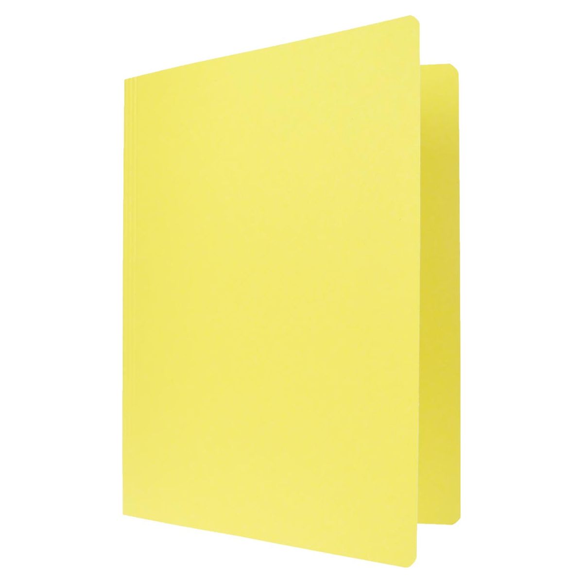 CLASEX - Class'Ex Fichier Folder, ft 24 x 32 cm (pour ft a4), jaune