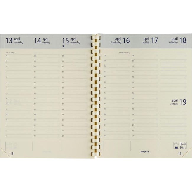 Brepols - Optivision Großmine Niederländisch 2026