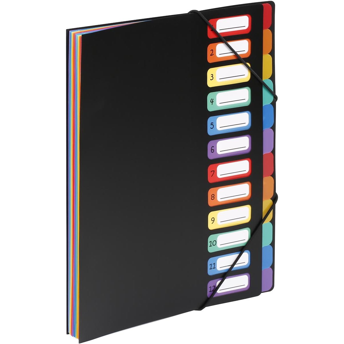Viquel - Dossier de tri Rainbow Class, format A4, avec 12 compartiments