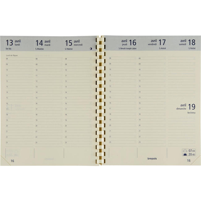 Brepols -   Optivision Large vulling Franstalig 2026