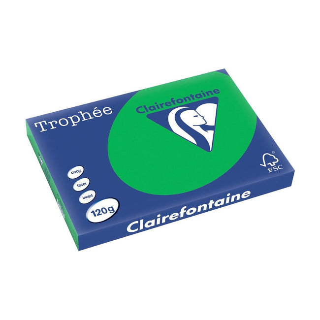 Clairefontaine - Intens Trophée, papier coloré, A3, 120 g, 250 feuilles, Bijartgroen