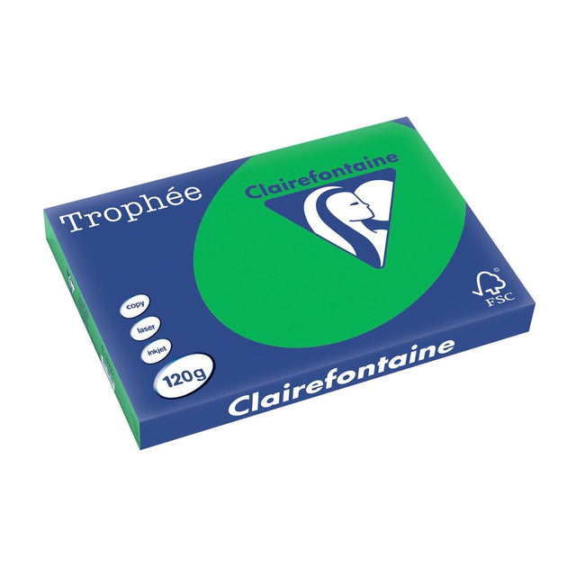 Clairefontaine -  Trophée Intens, gekleurd papier, A3, 120 g, 250 vel, bijartgroen