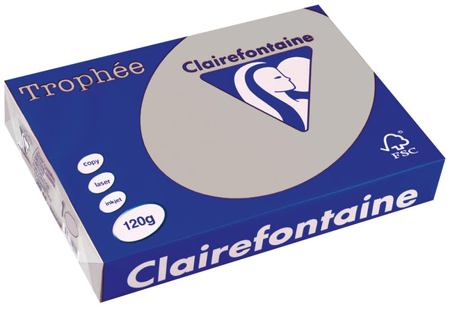 Clairefontaine - Trophée Tél, papier coloré, A4, 120 g, 250 feuilles, gris clair