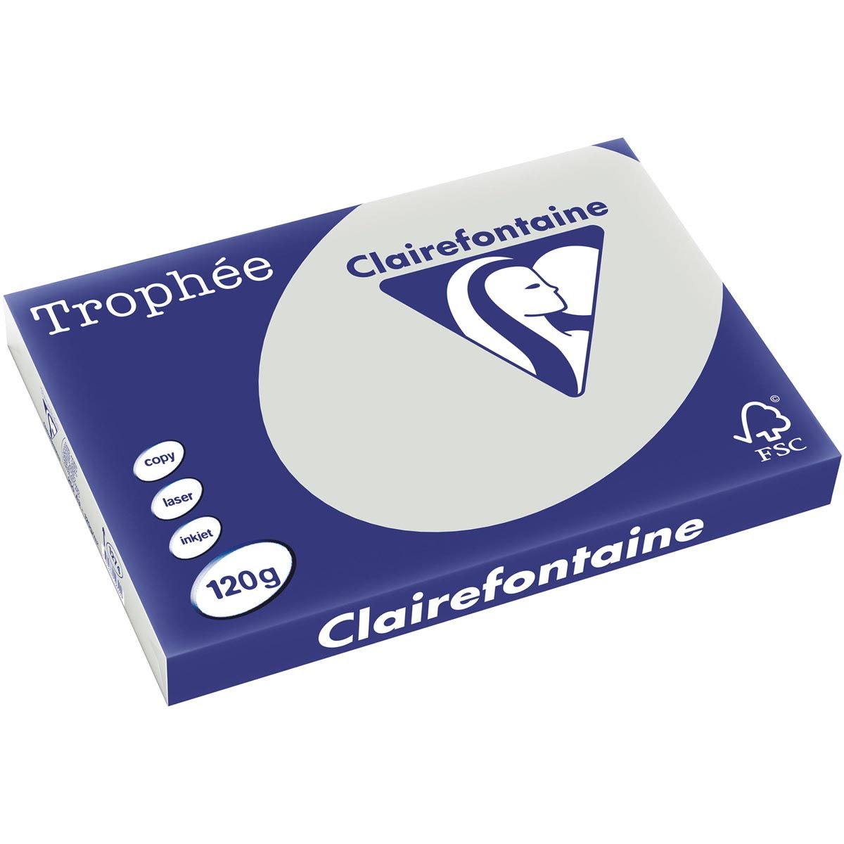 Clairefontaine - Trophée tel, papier coloré, A3, 120 g, 250 feuilles, gris clair