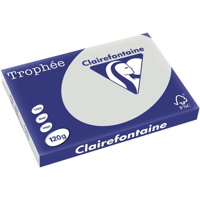 Clairefontaine - Trophée tel, farbiges Papier, A3, 120 g, 250 Blatt, hellgrau