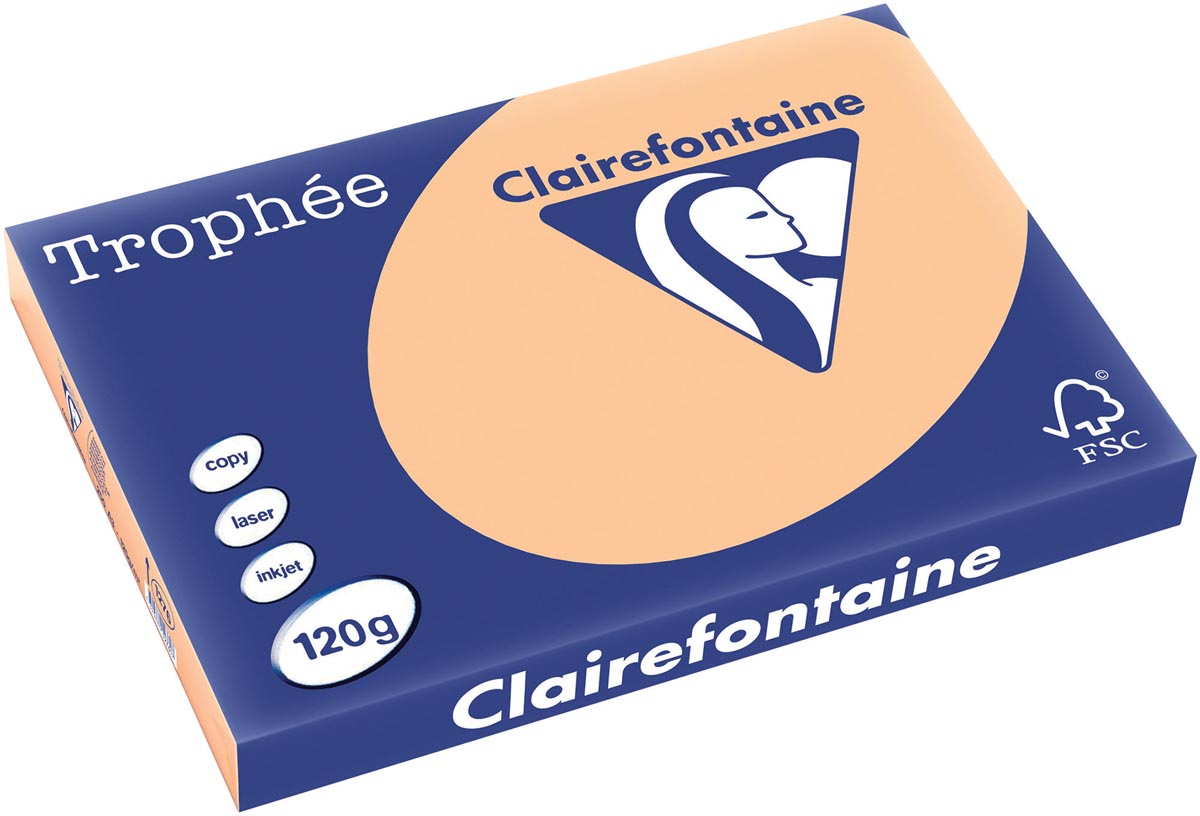 Clairefontaine - Trophée tel, gekleurd papier, A3, 120 g, 250 vel, abrikoos