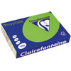 Clairefontaine - Trophée Intens, papier coloré, A4, 120 g, 250 feuilles, vert gazon