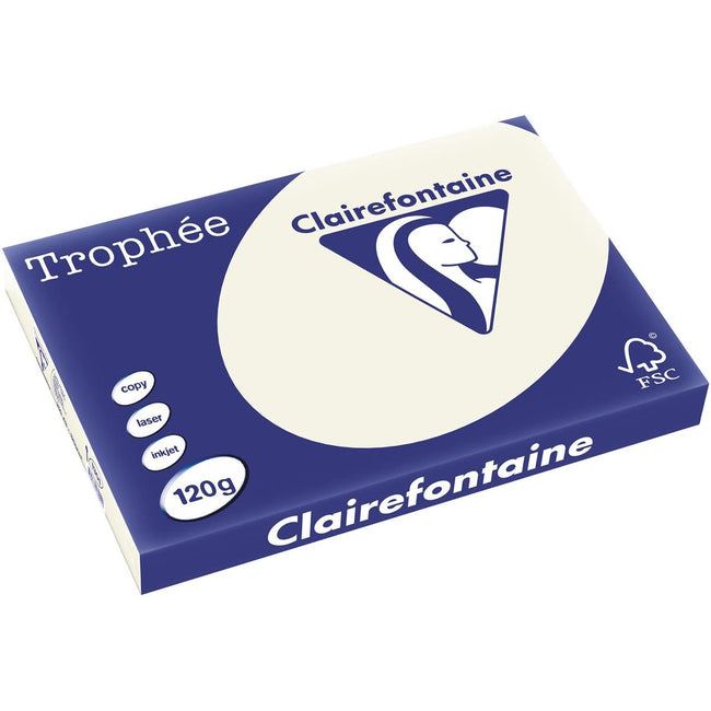 Clairefontaine - Trophée tel, papier coloré, A3, 120 g, 250 feuilles, gris perle