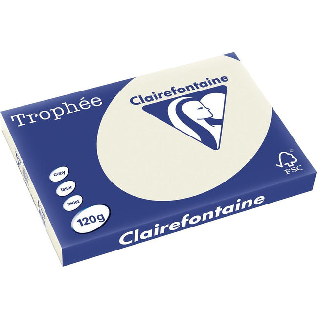 Clairefontaine - Trophée Tél, papier coloré, A3, 120 g, 250 feuilles, gris perlé